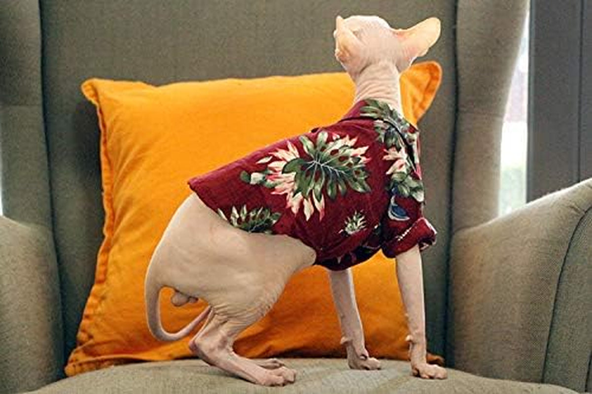 Hawaiian Aloha Dog  or Cat Collared Shirt 