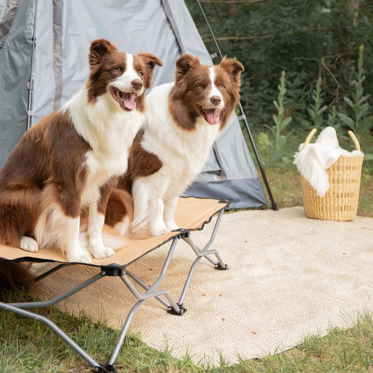 Large Portable Pup Travel Pet Bed, Tan, 47.5” L X 24.5” W, for Dogs up to 95 Lbs