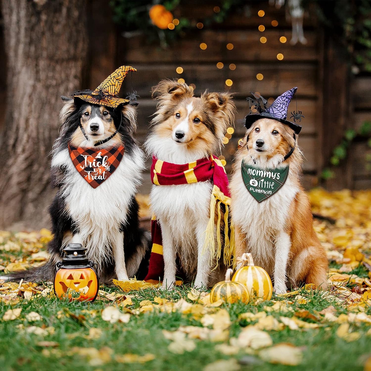 3 Pack Holiday Dog Bandanas-Christmas, Thanksgiving, and Halloween