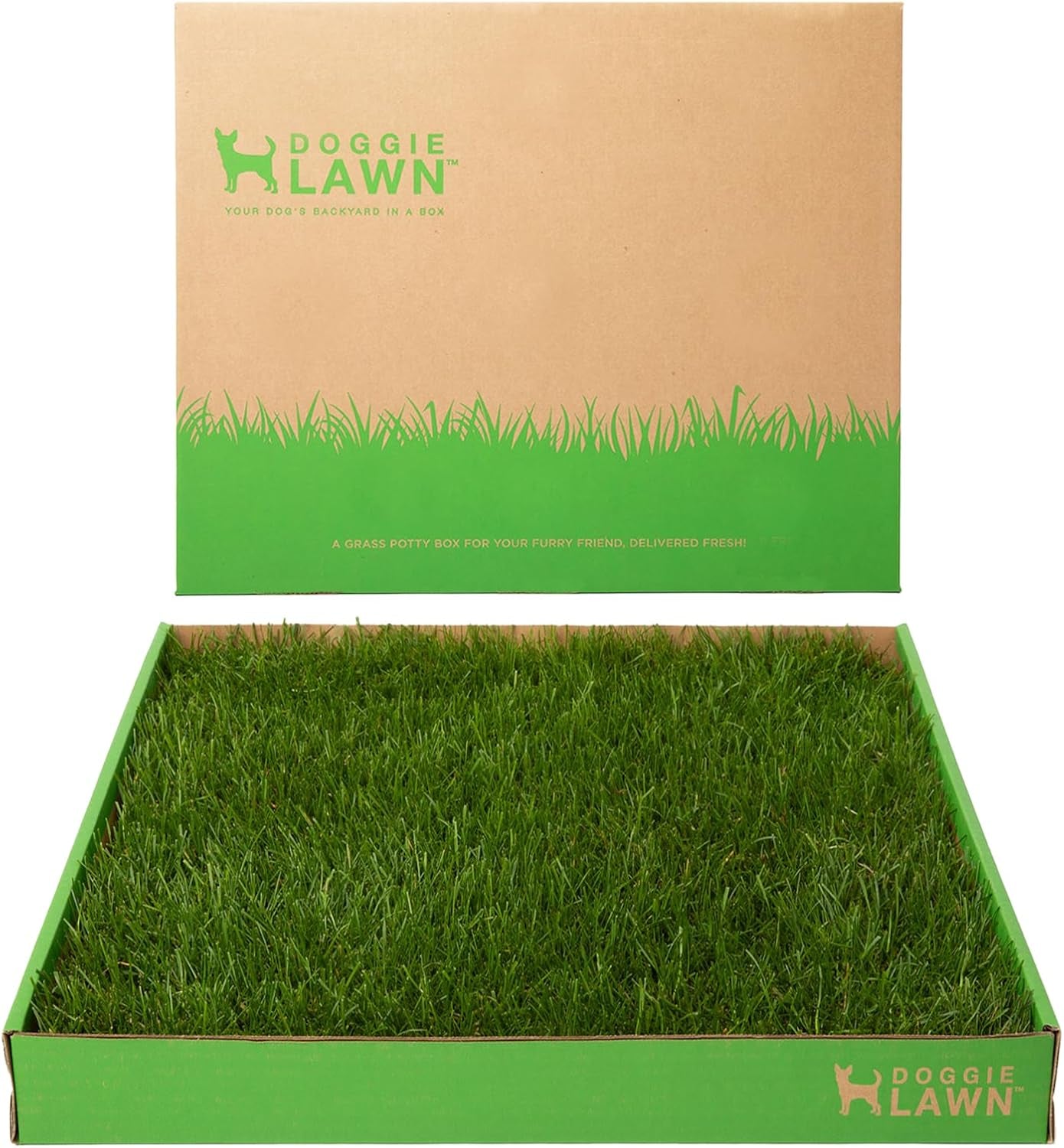 Real Grass Puppy Pee Pads- 24 X 20 Inches - Perfect Indoor Litter Box for Dogs - No Mess, Easy-To-Use - Potty Training for Pets - Eco-Friendly Disposable Bathroom with Real Living Grass