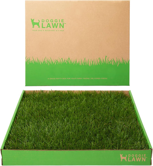 Real Grass Puppy Pee Pads- 24 X 20 Inches - Perfect Indoor Litter Box for Dogs - No Mess, Easy-To-Use - Potty Training for Pets - Eco-Friendly Disposable Bathroom with Real Living Grass