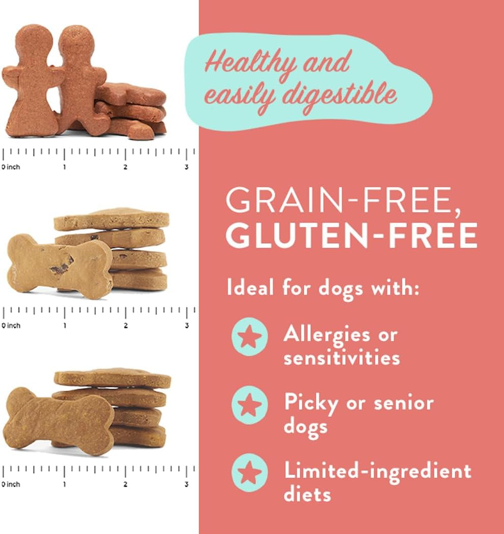 Pumpkin Healthy Dog Treats - Grain-Free, Pumpkin Dog Treats - All Natural Dog Training Treats & Biscuits Made in the USA 