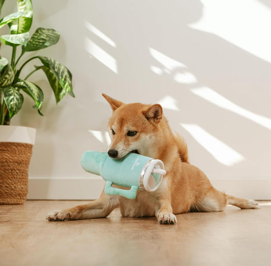 Tumbler Cup Funny Dog Toy (Mint Green)