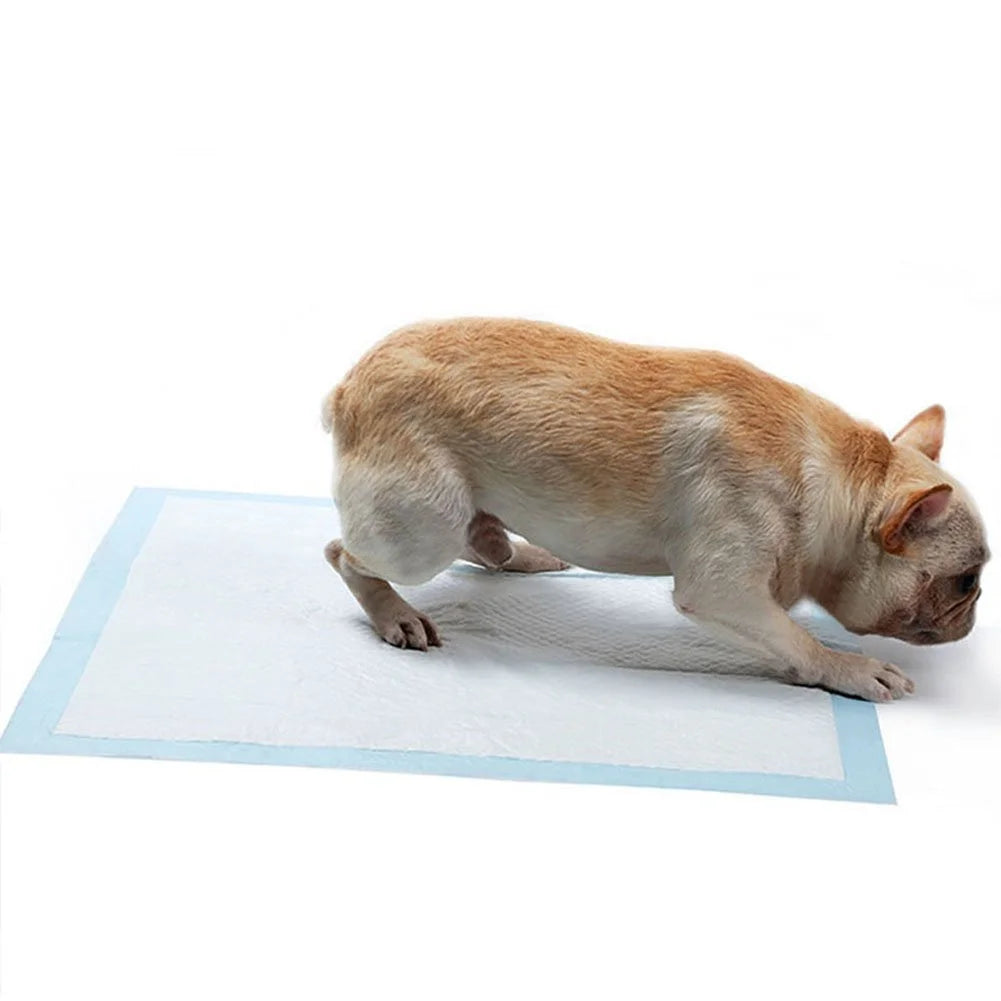 100 Count 24X24 Heavy Absorbent Dog Puppy Training Potty Pads