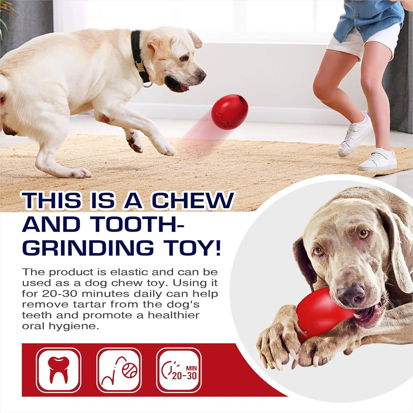 Classic Dog Stuffable Toy for Extra Larger Aggressive Chewers Indestructible Tough Wet Food Cups Treat Slow Dispensing Interactive Puppy Freezable Toys Teeth Toothbrush Chew Medium Dogs XL Breed