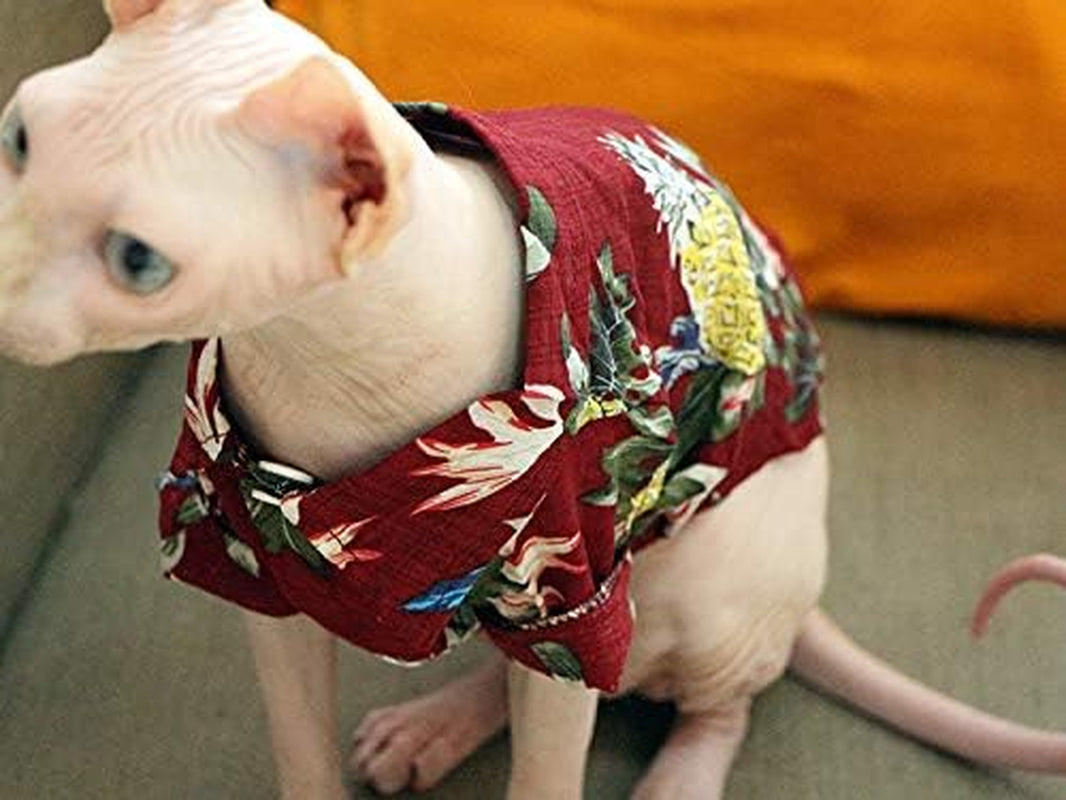 Hawaiian Aloha Dog  or Cat Collared Shirt 