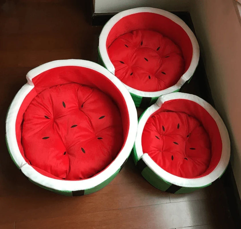 Juicy Oasis Pet Bed