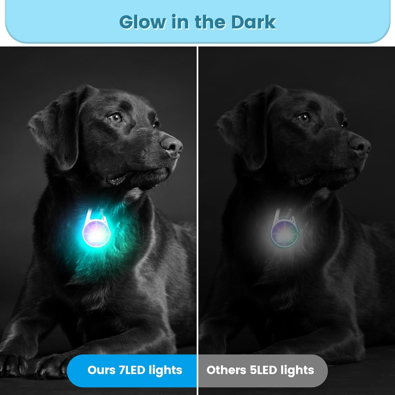  LED Rechargeable Pet Safety Lights for Dog Collar 2 pack 