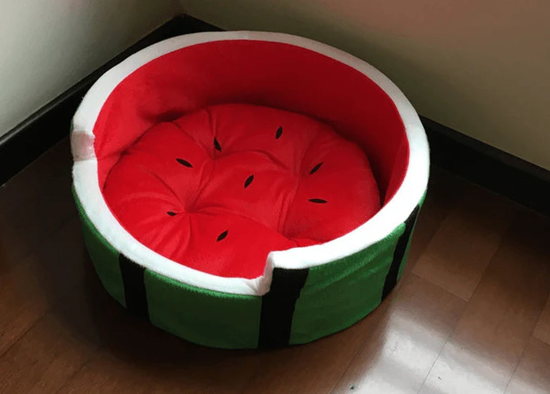 Juicy Oasis Pet Bed