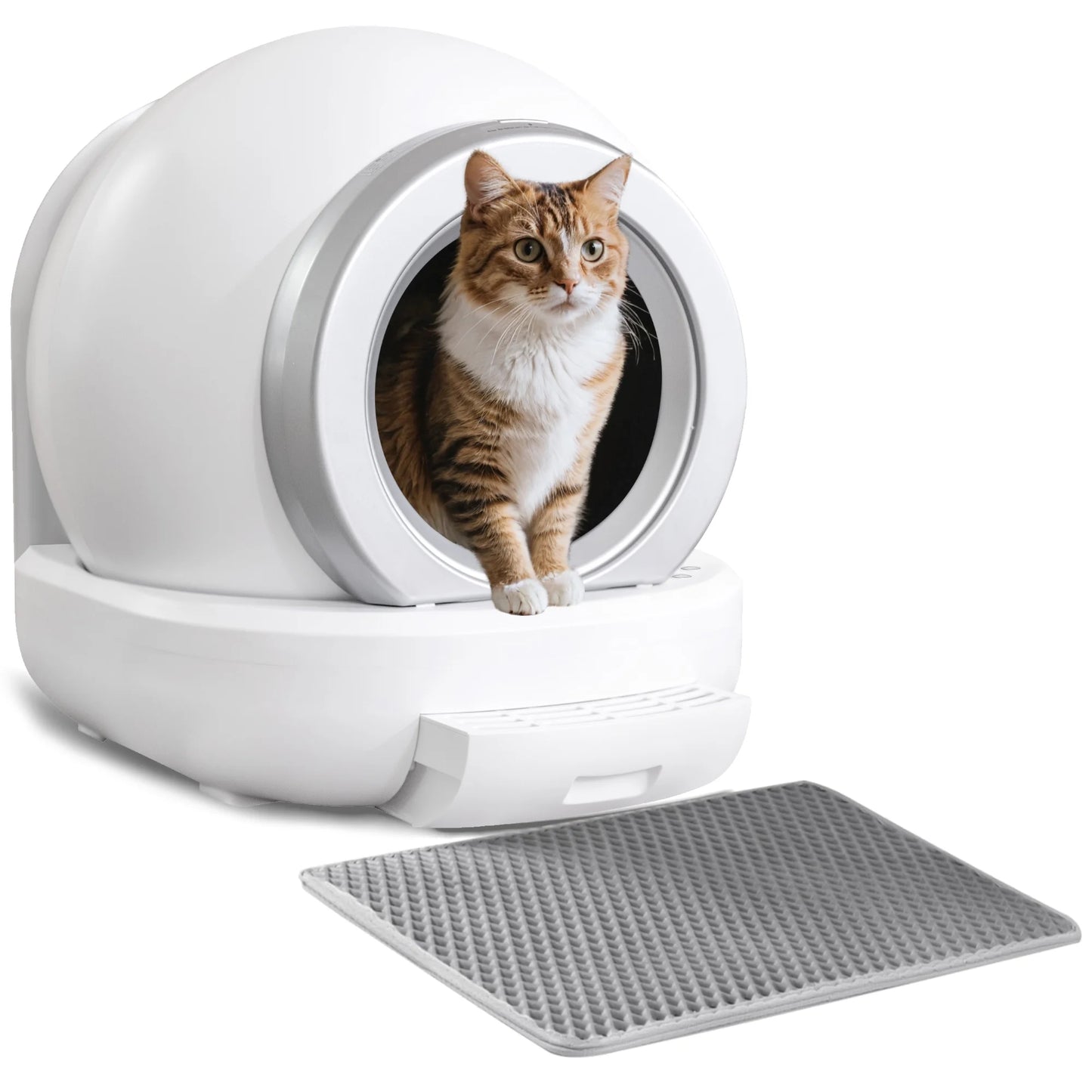 Automatic, Self-Cleaning, Smart Litter Box with APP Control