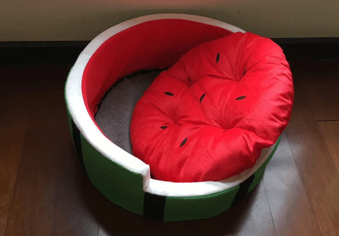 Juicy Oasis Pet Bed