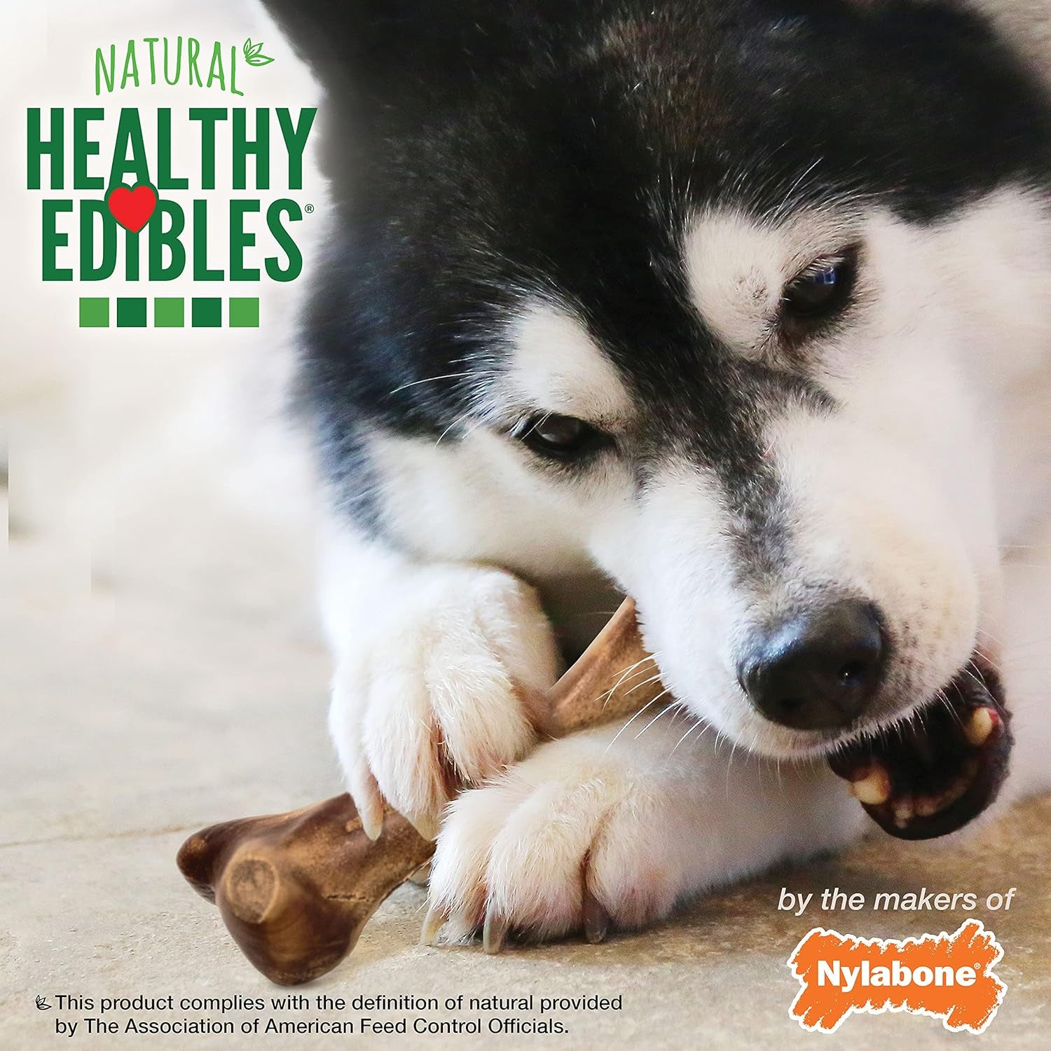 Healthy Edibles WILD Natural Long-Lasting Bison Flavor Bone Chew Treats for Dogs, Large (1 Count)