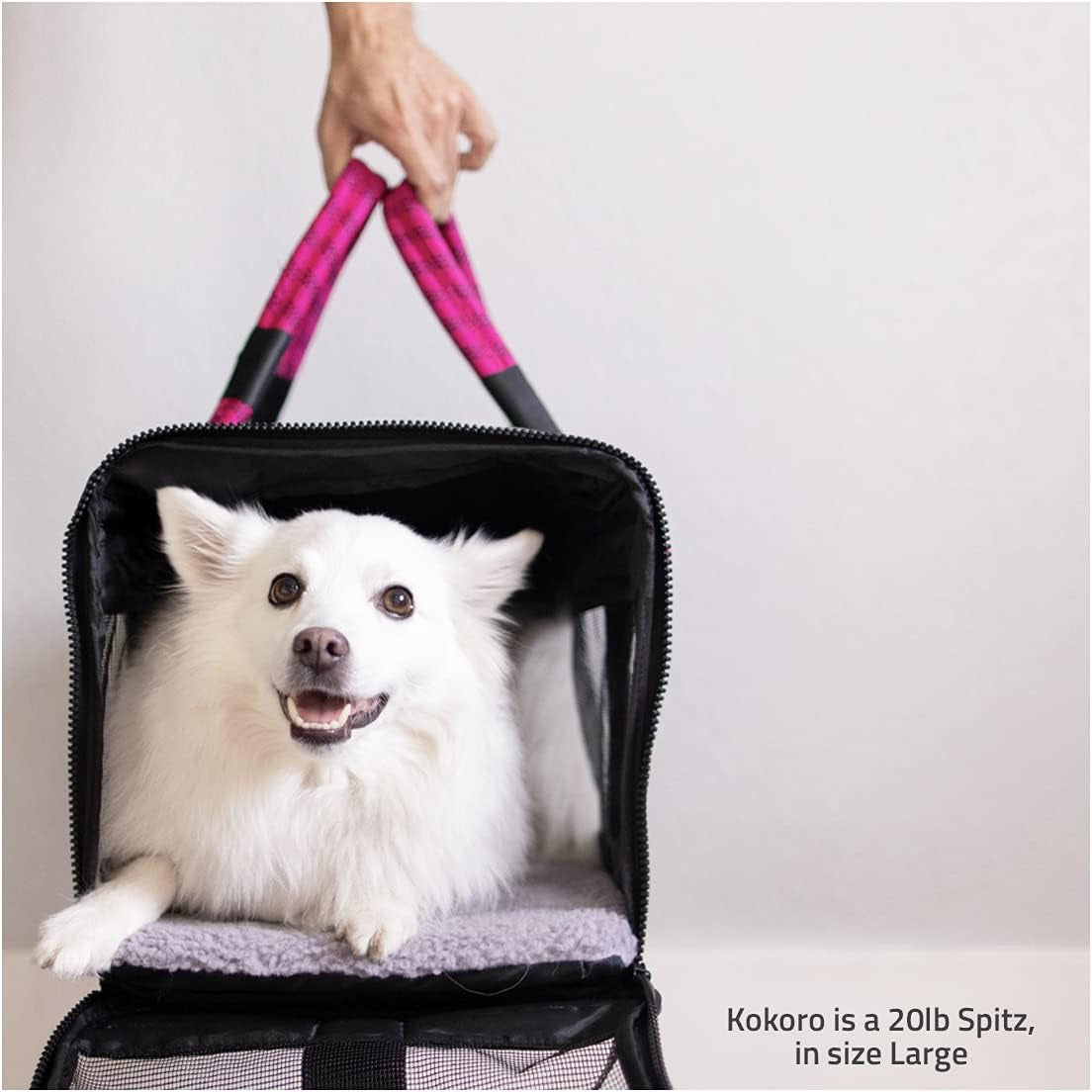 Airline-Compliant Pet Carrier | Includes Leash | Suitable for Pets up to 20Lbs