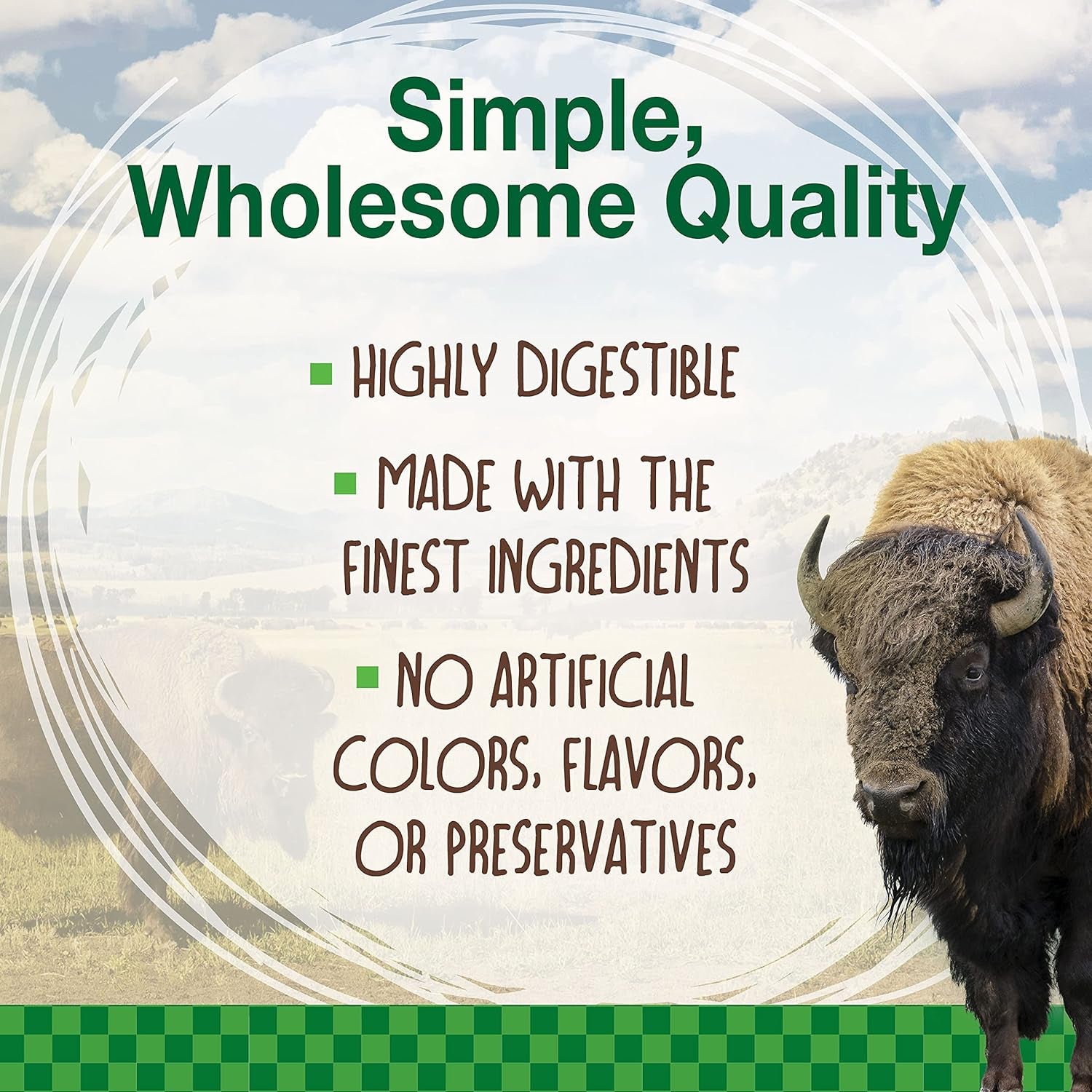 Healthy Edibles WILD Natural Long-Lasting Bison Flavor Bone Chew Treats for Dogs, Large (1 Count)