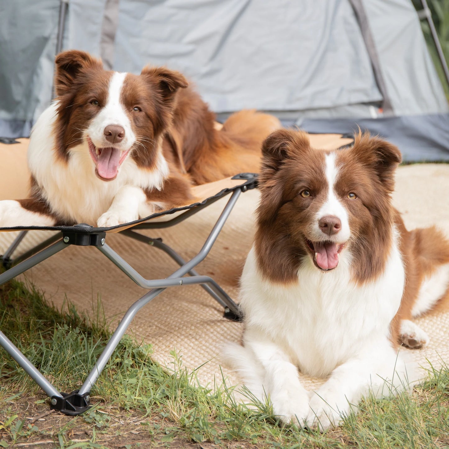 Large Portable Pup Travel Pet Bed, Tan, 47.5” L X 24.5” W, for Dogs up to 95 Lbs