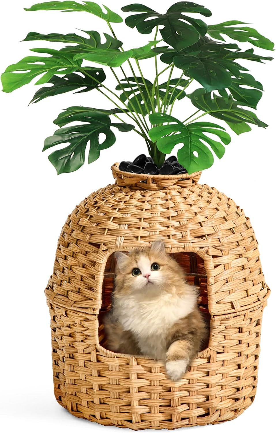 Enclosed Cat Litter Box With Built in Filter- Monstera House Plant Design